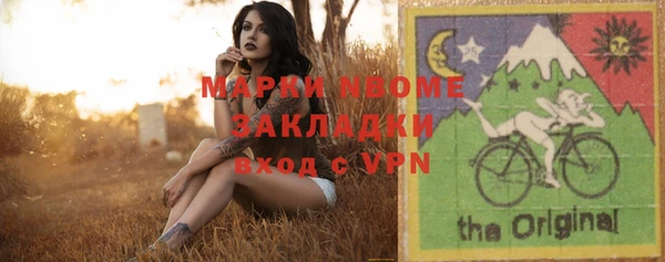 индика Арсеньев