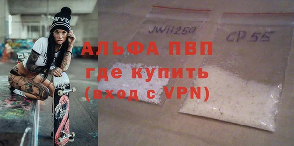индика Арсеньев
