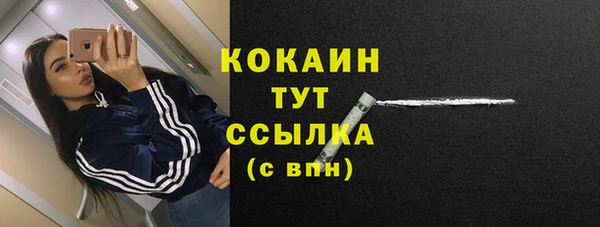 индика Арсеньев