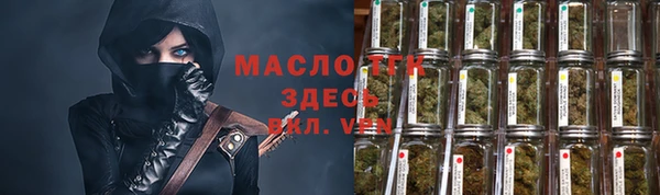 индика Арсеньев