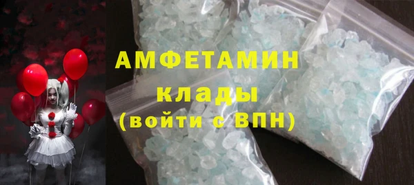 индика Арсеньев