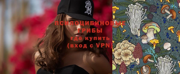 ешки Аркадак