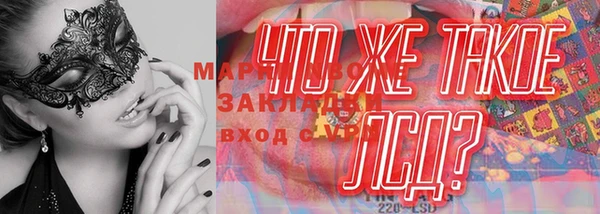 ешки Аркадак