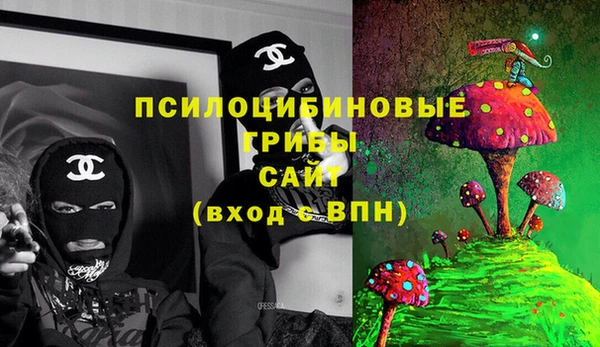 ешки Аркадак