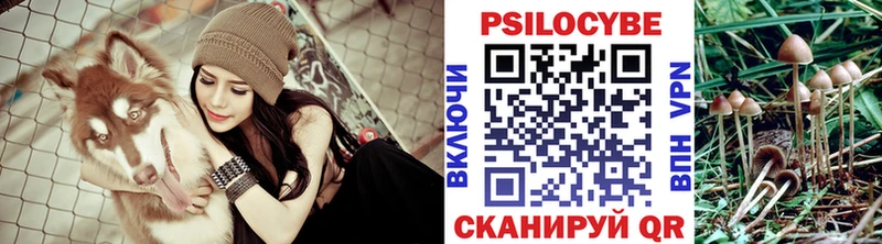 сколько стоит  darknet телеграм  mega рабочий сайт  Галлюциногенные грибы Cubensis  Грайворон 